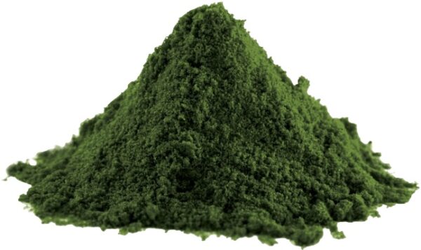 Lifelike spirulina prášek 100 g